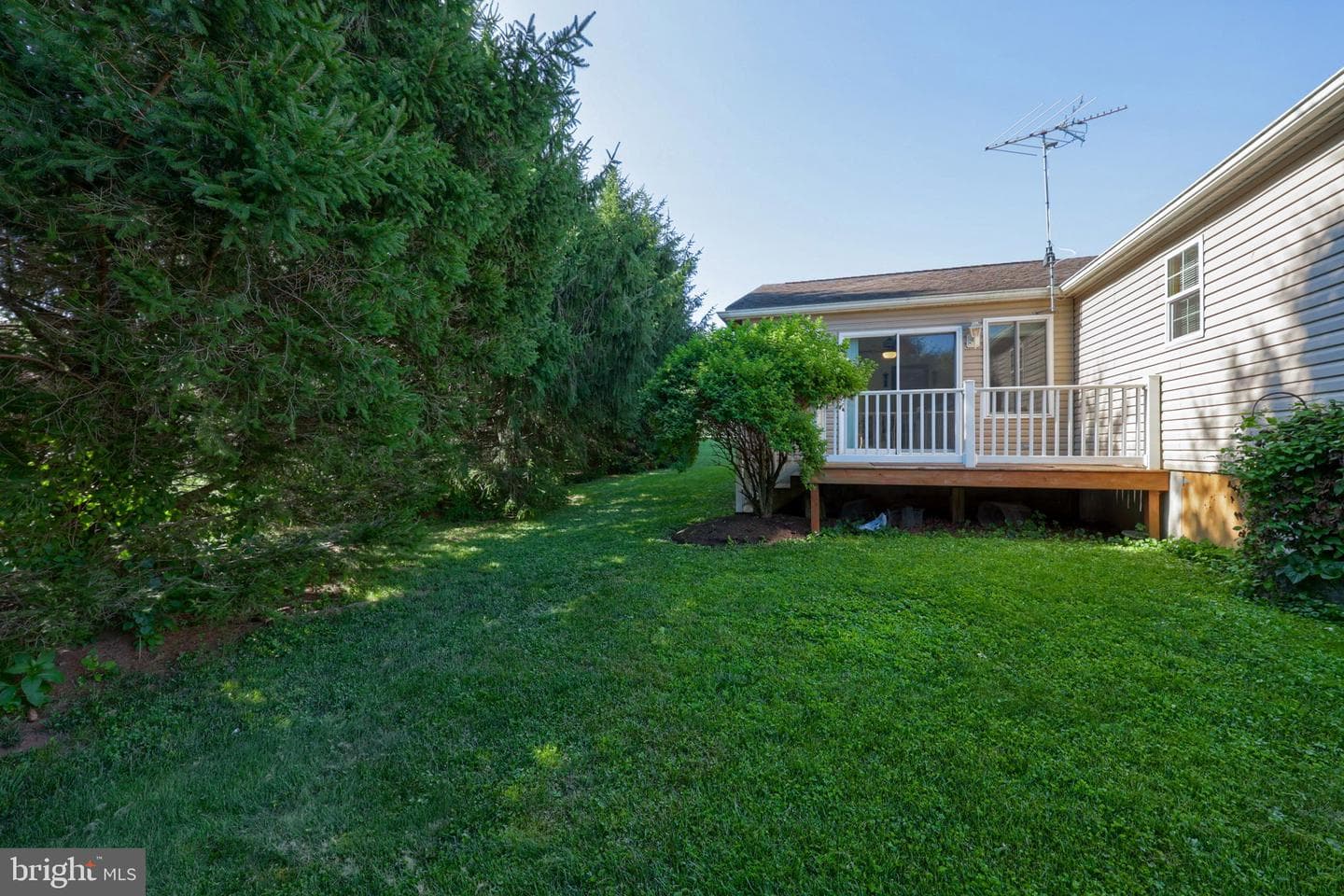 110 Homestead Drive photo 41