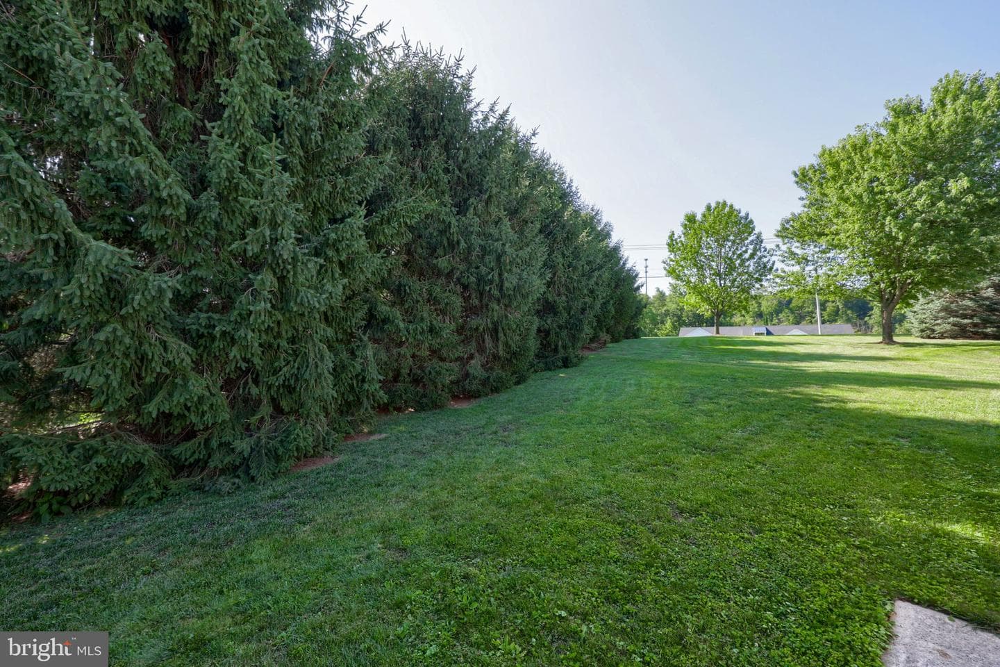 110 Homestead Drive photo 44