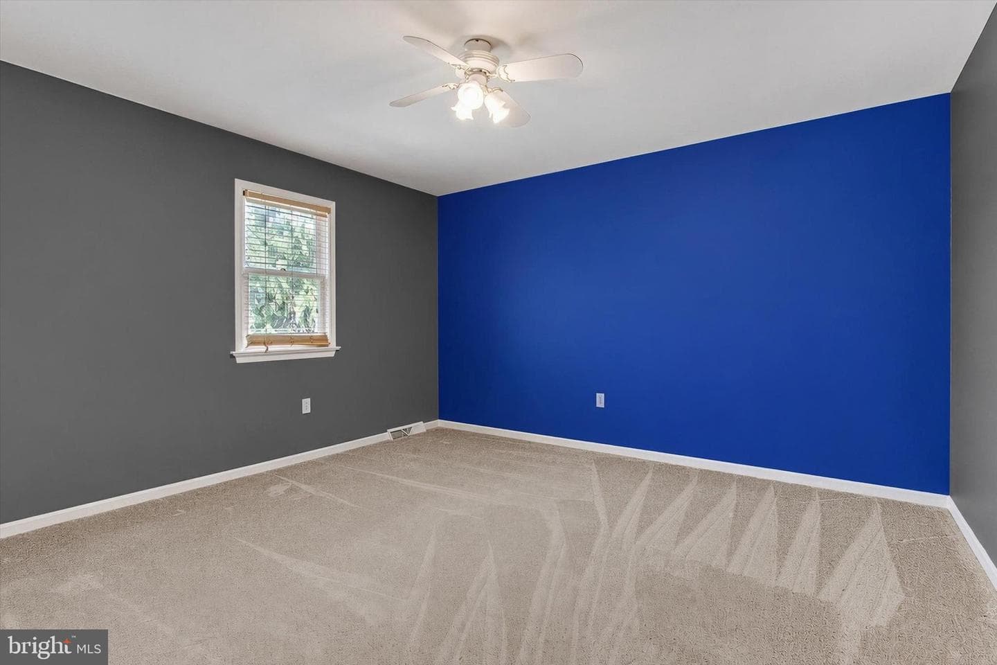 7 Kingston Court photo 28