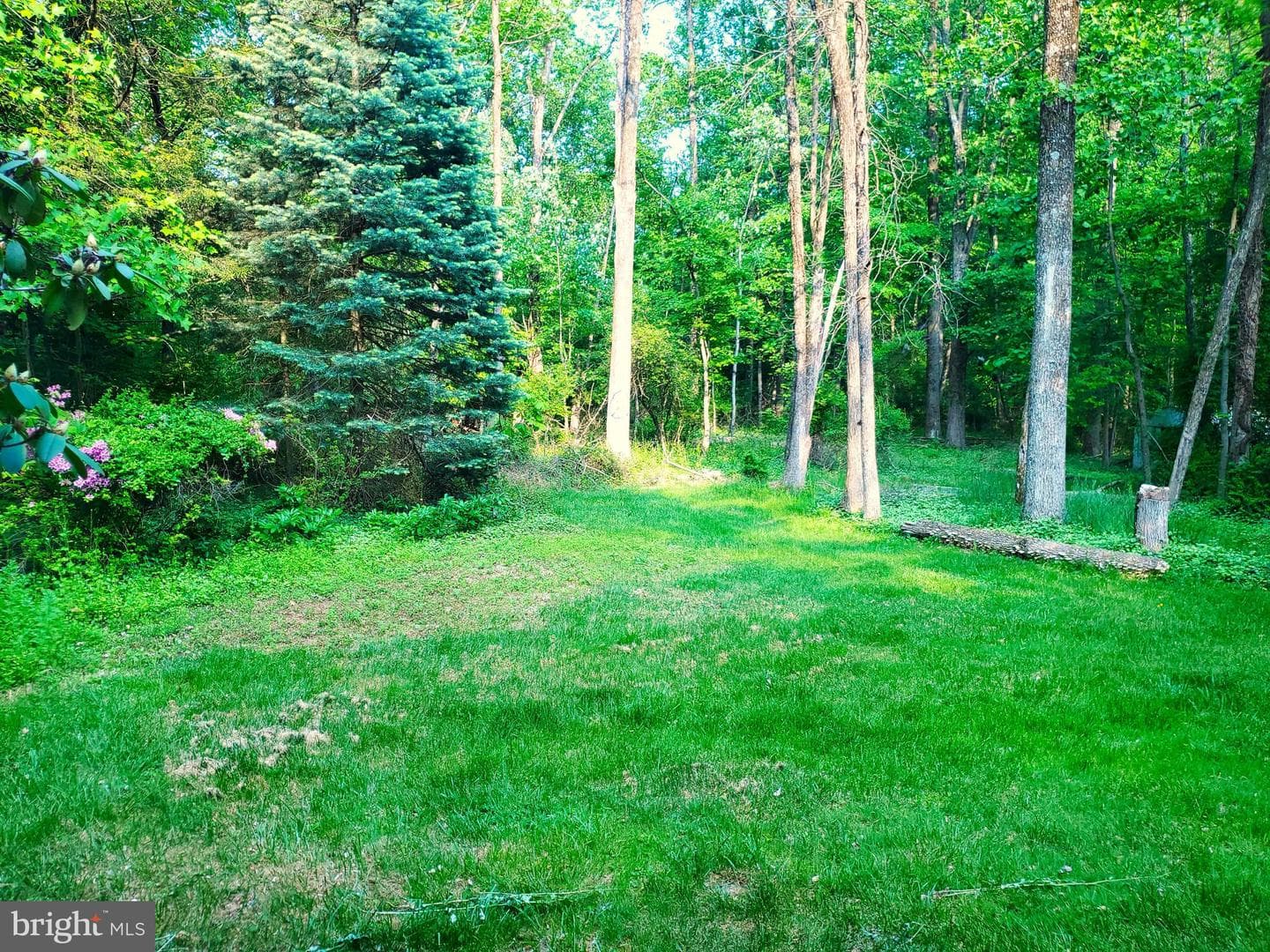 9329 Landis Lane photo 49