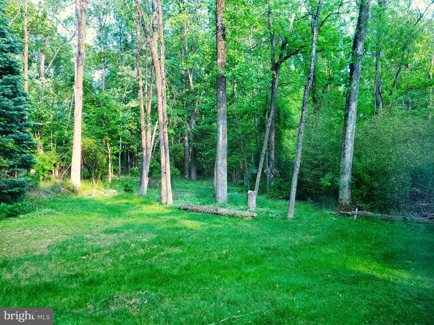 9329 Landis Lane photo 54