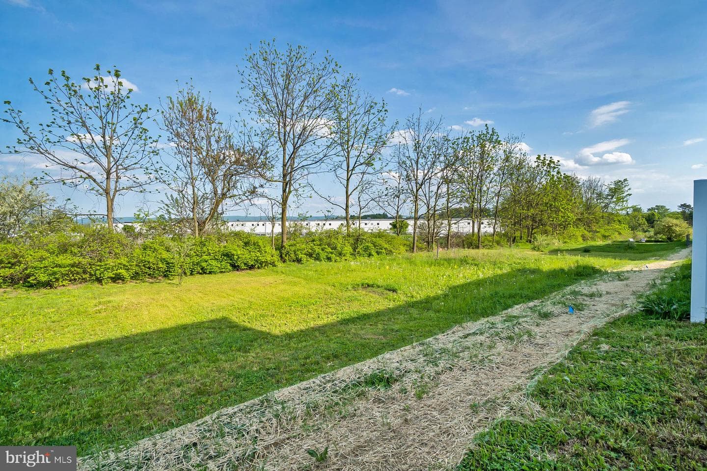 1419 Black Forest Drive photo 29