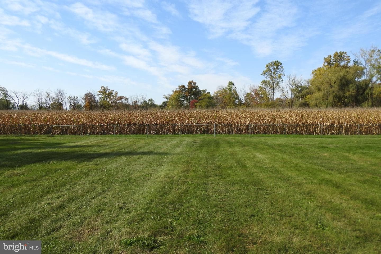 1218 Trexlertown Road photo 3