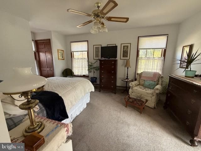 1114 Shadow Oaks Lane photo 21