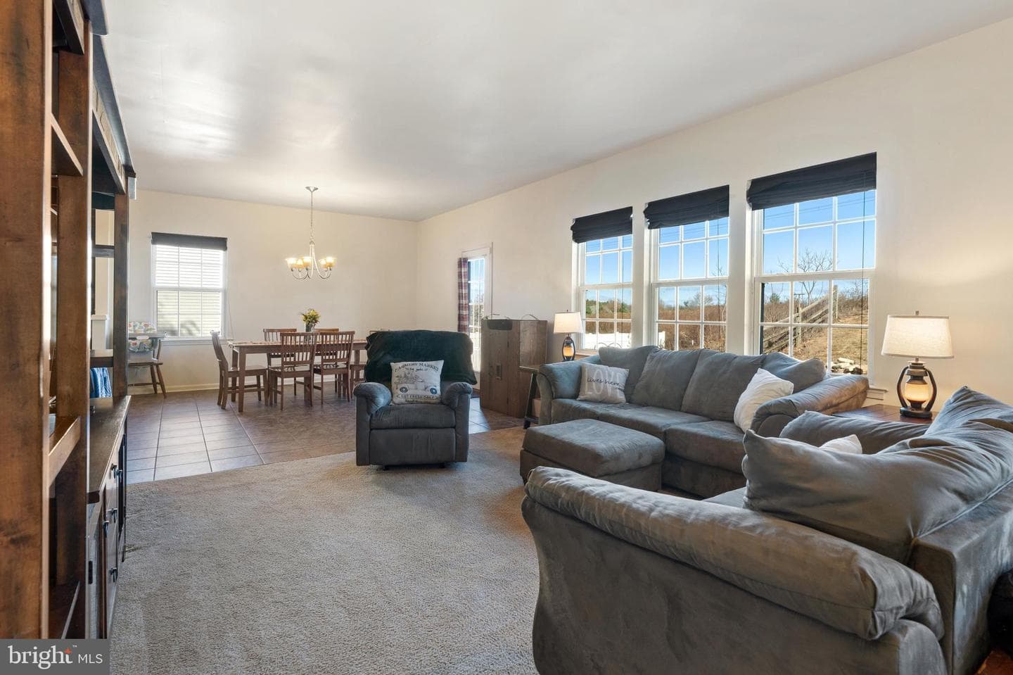 1541 Buck Hill Lane photo 21