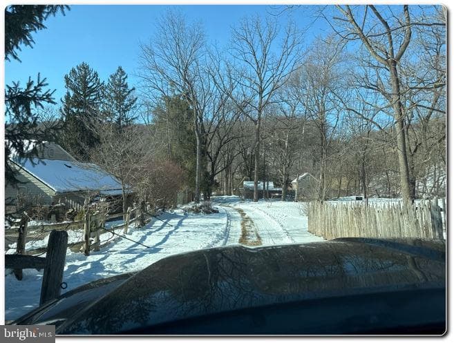 4209 Vera Cruz Road photo 3
