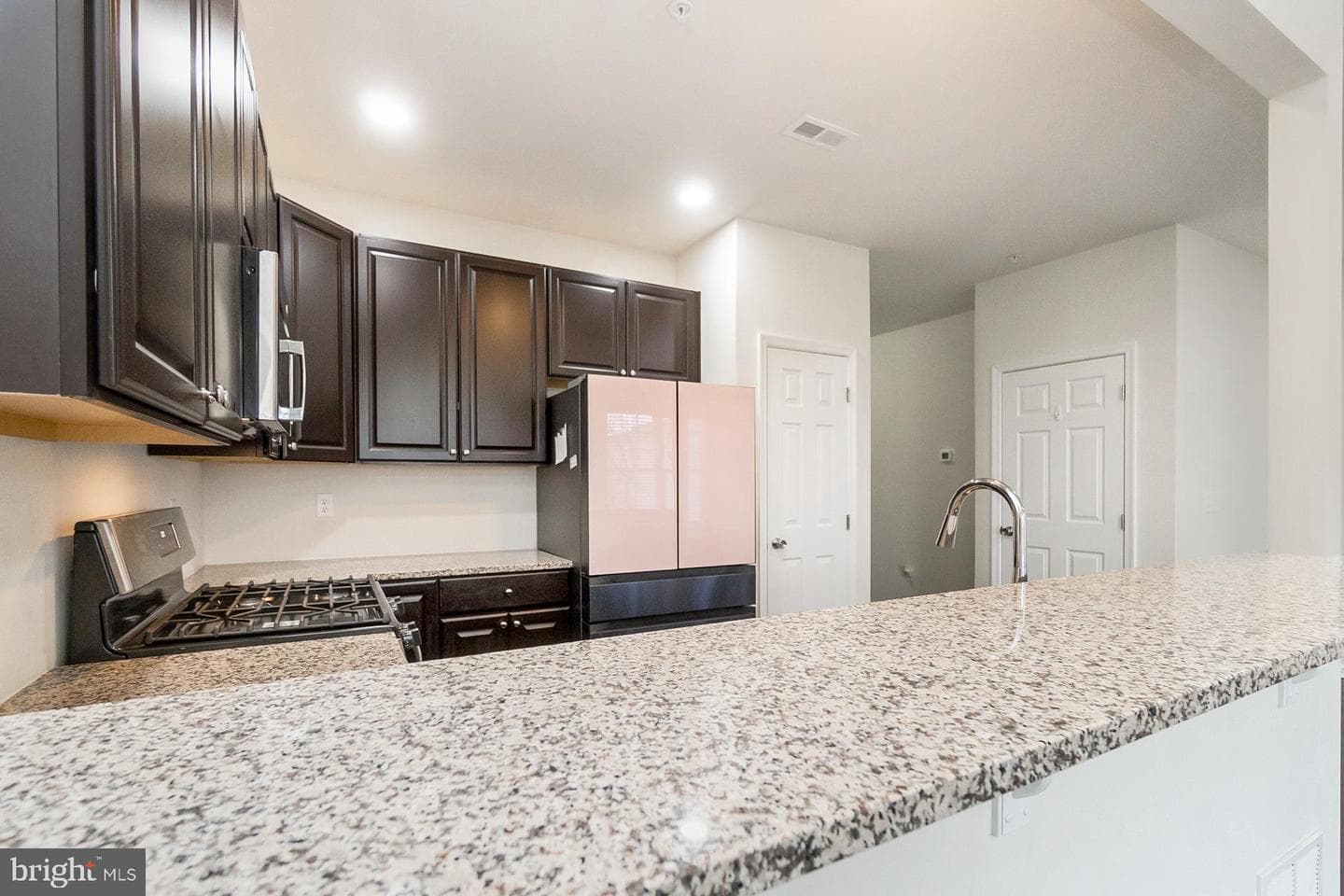 1423 Black Forest Drive photo 19