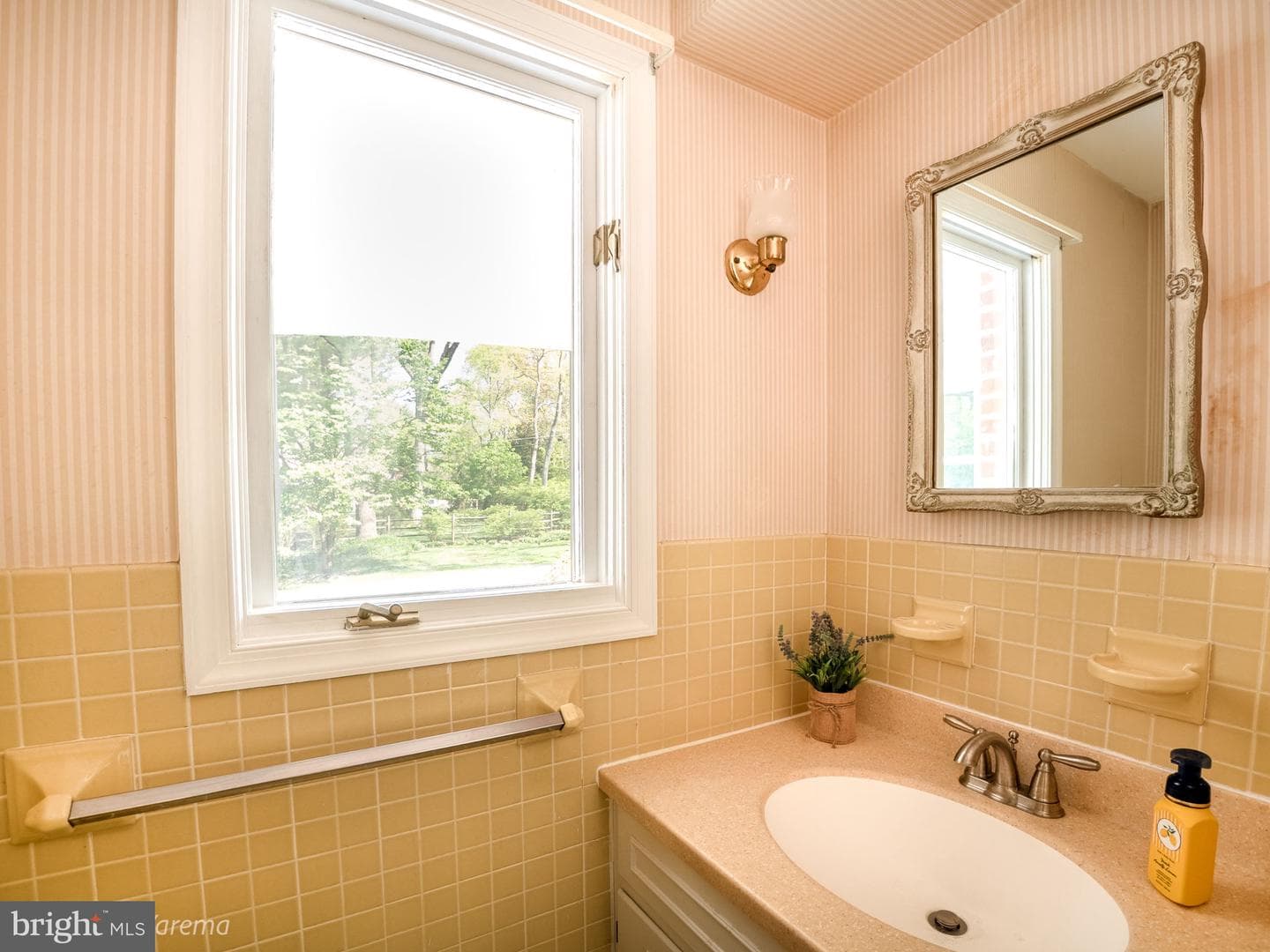 3856 Maulfair Place photo 22