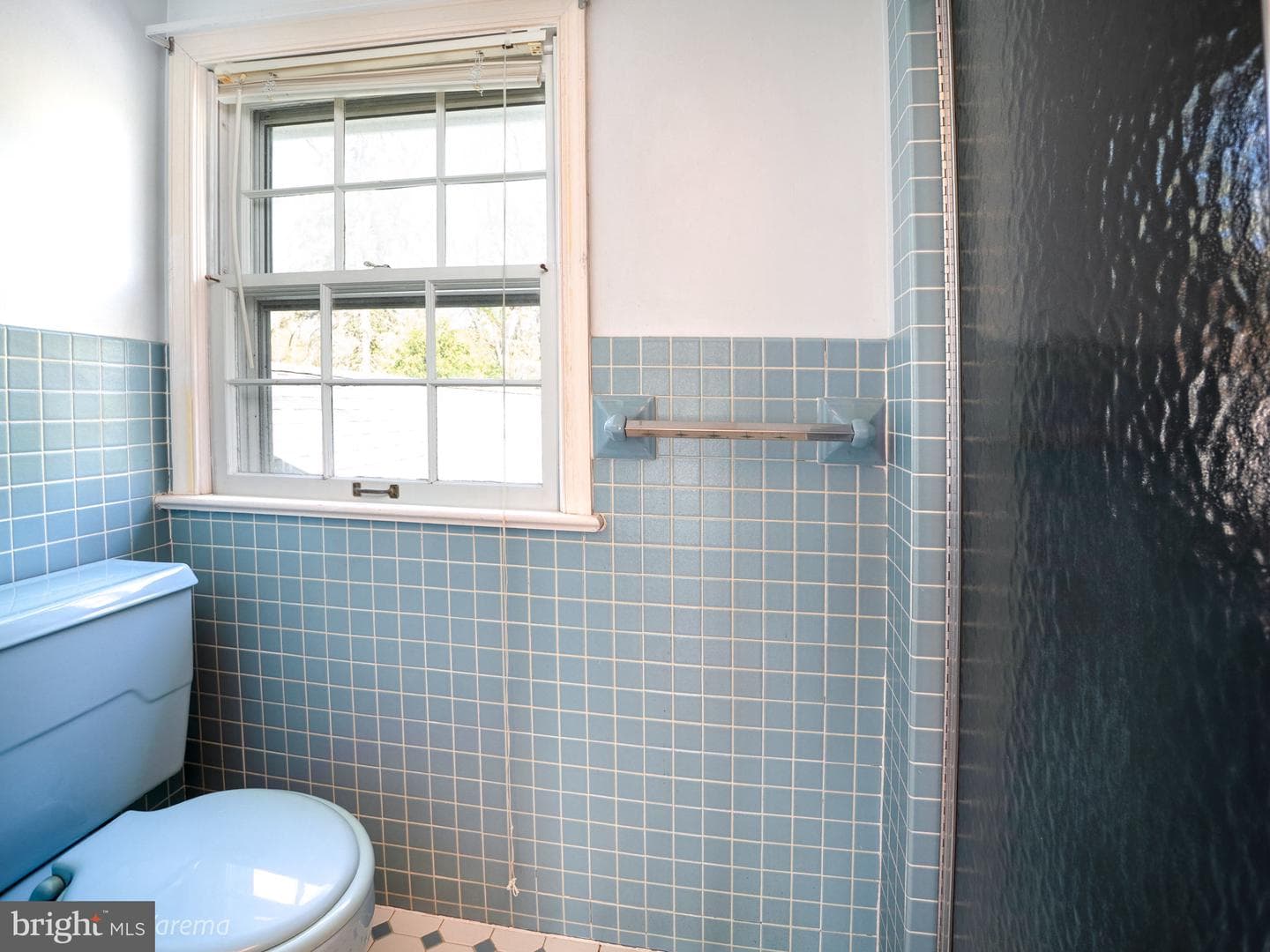 3856 Maulfair Place photo 29
