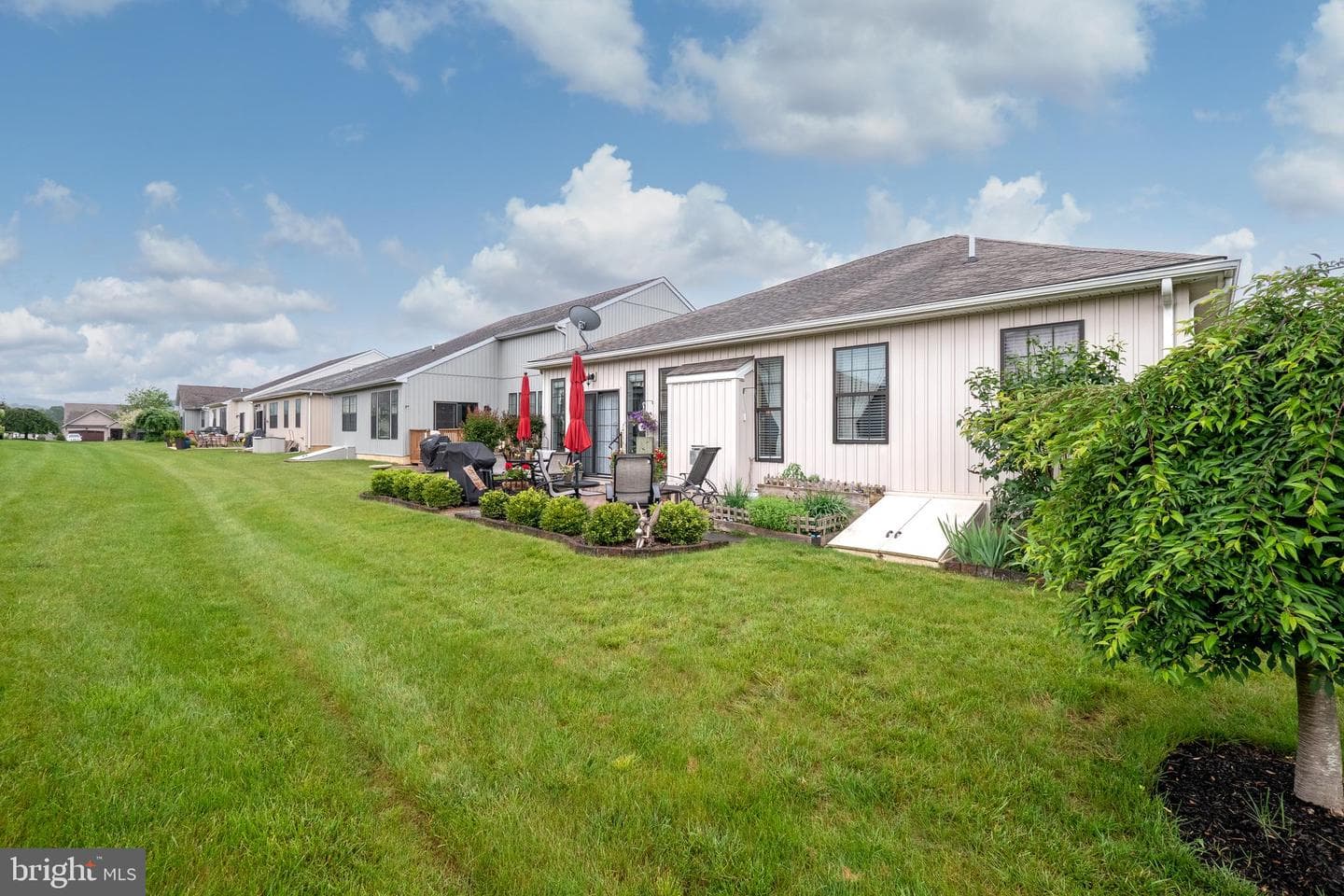 3514 Daylily Drive photo 5
