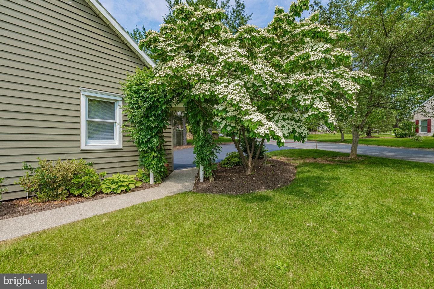1770 Maplewood Lane photo 2