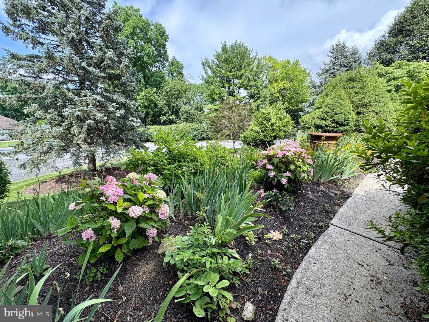 3706 Surrey Drive photo 8