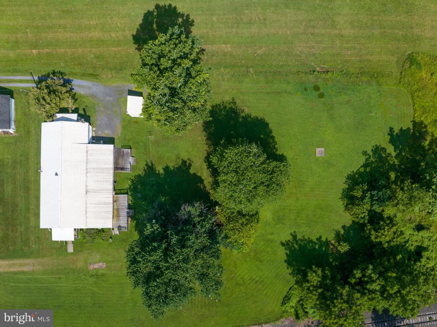 7921 Corning Road photo 3
