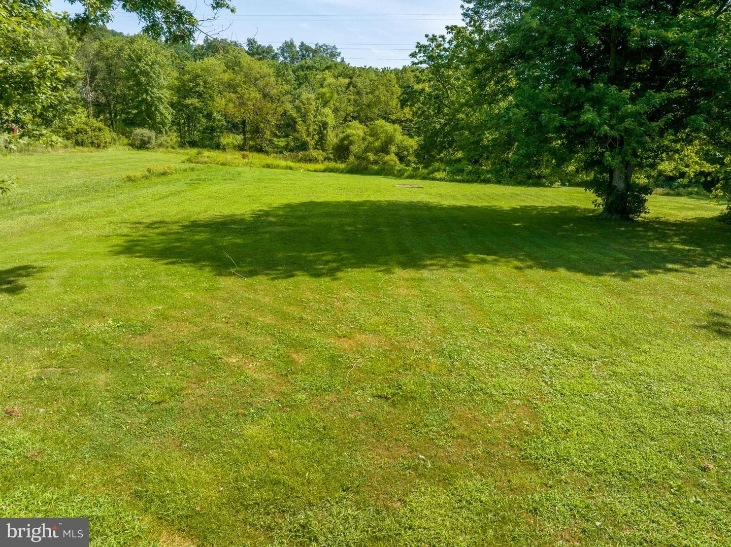 7921 Corning Road photo 31