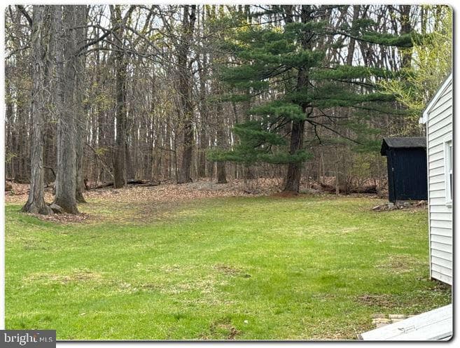 428 Thomas Street photo 10