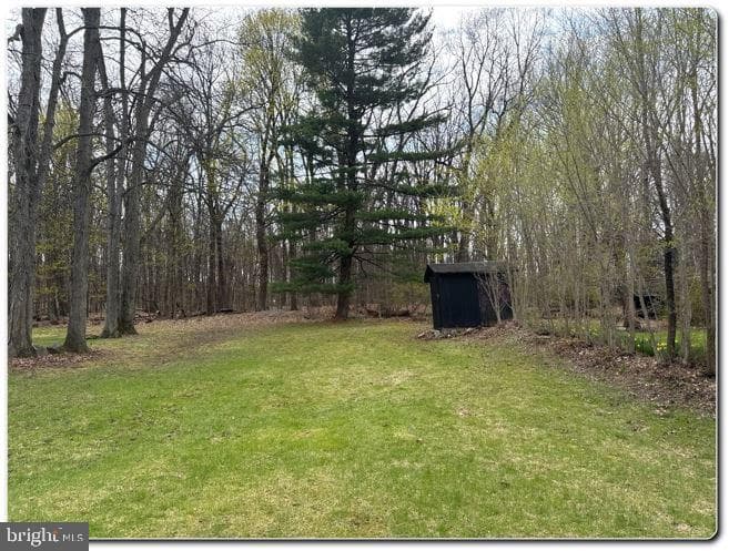 428 Thomas Street photo 11