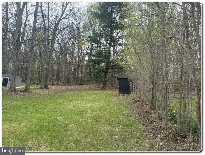 428 Thomas Street photo 13