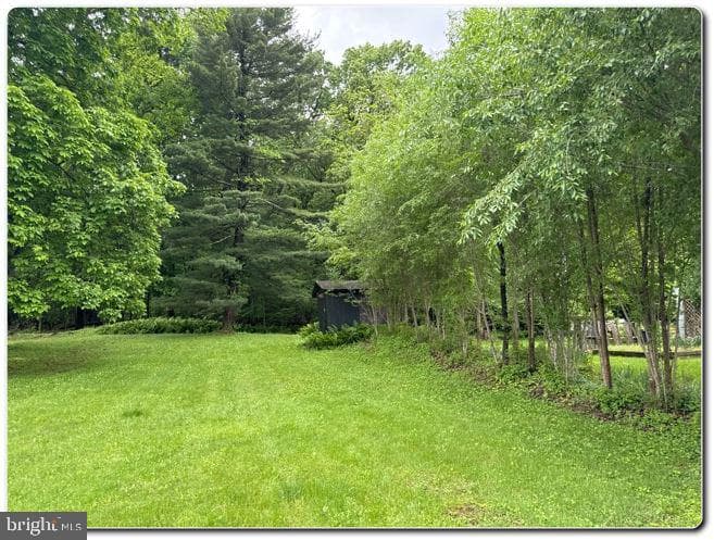 428 Thomas Street photo 19