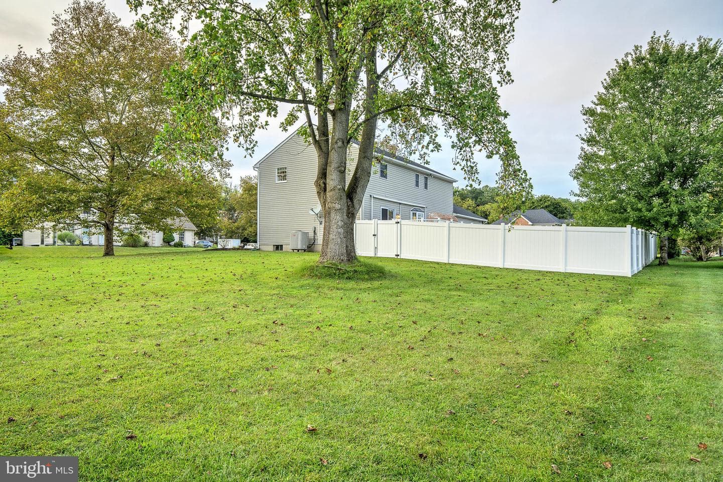 4880 Mar Street photo 11