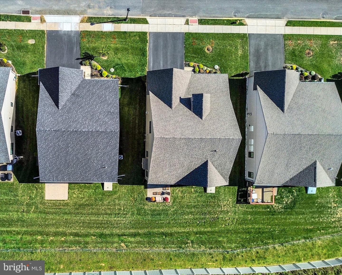 3623 Daylily Drive photo 42