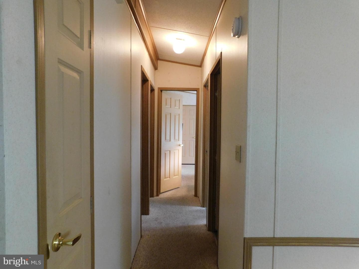 8846 Max Way photo 14