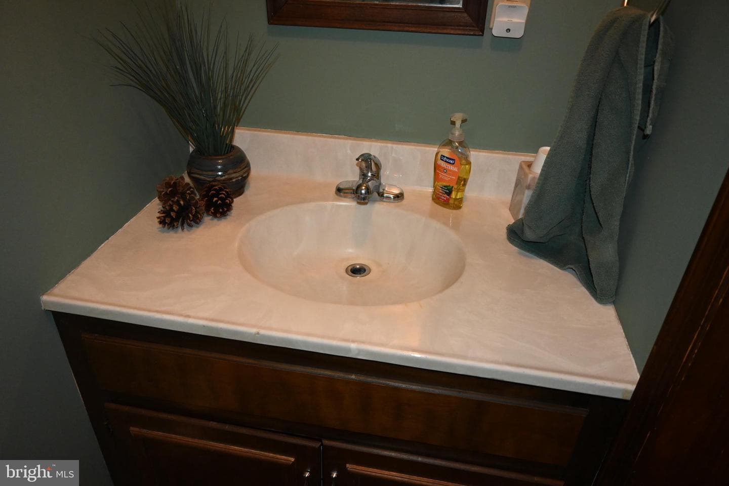 314 Saucon Lane photo 8