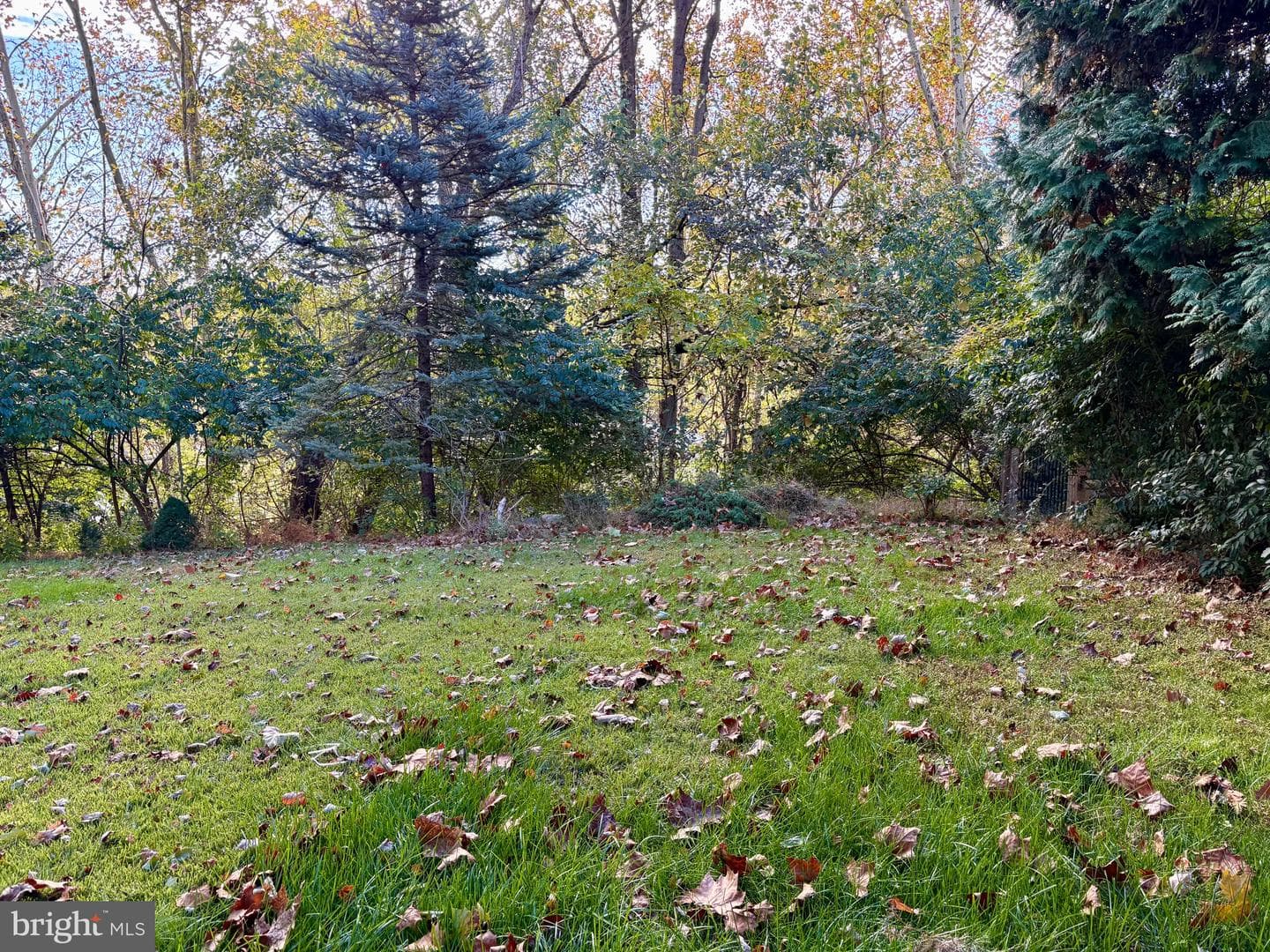 195 Shiloh Court photo 19
