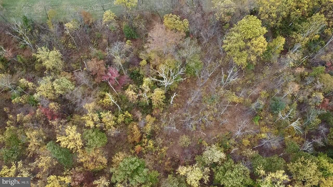 8568 Deer Road photo 31