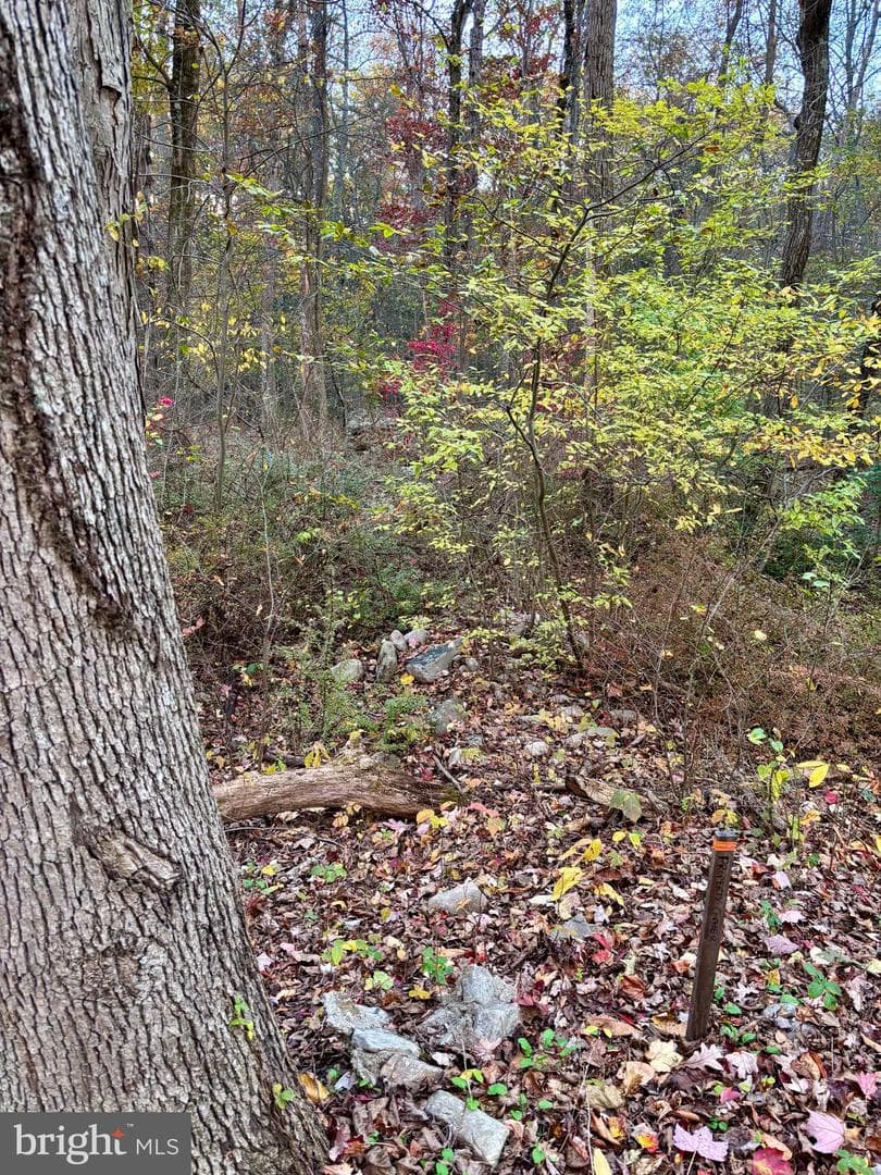 8568 Deer Road photo 36