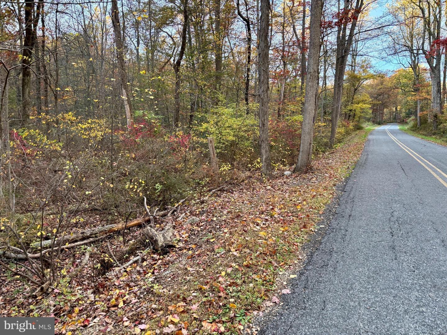 8568 Deer Road photo 37