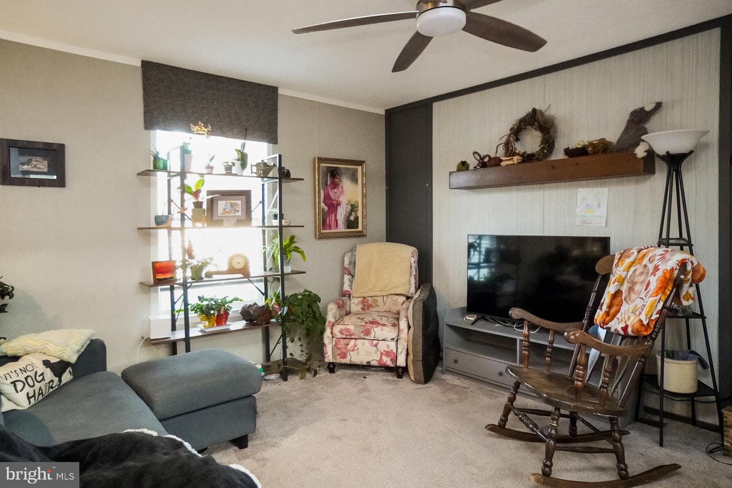 1041 Dogwood Street photo 5