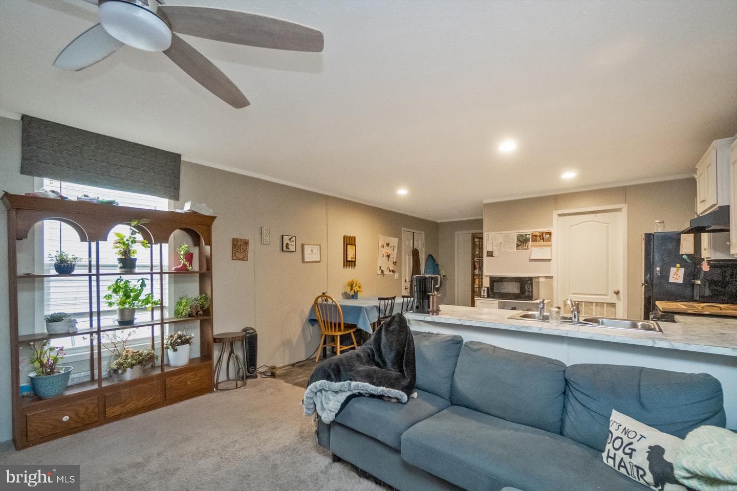 1041 Dogwood Street photo 6