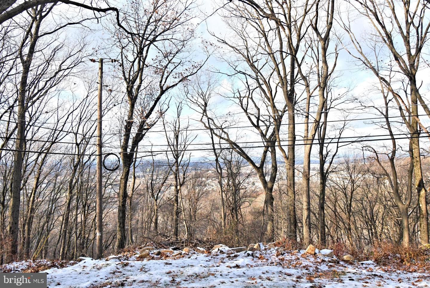 501 Skyline Drive photo 61