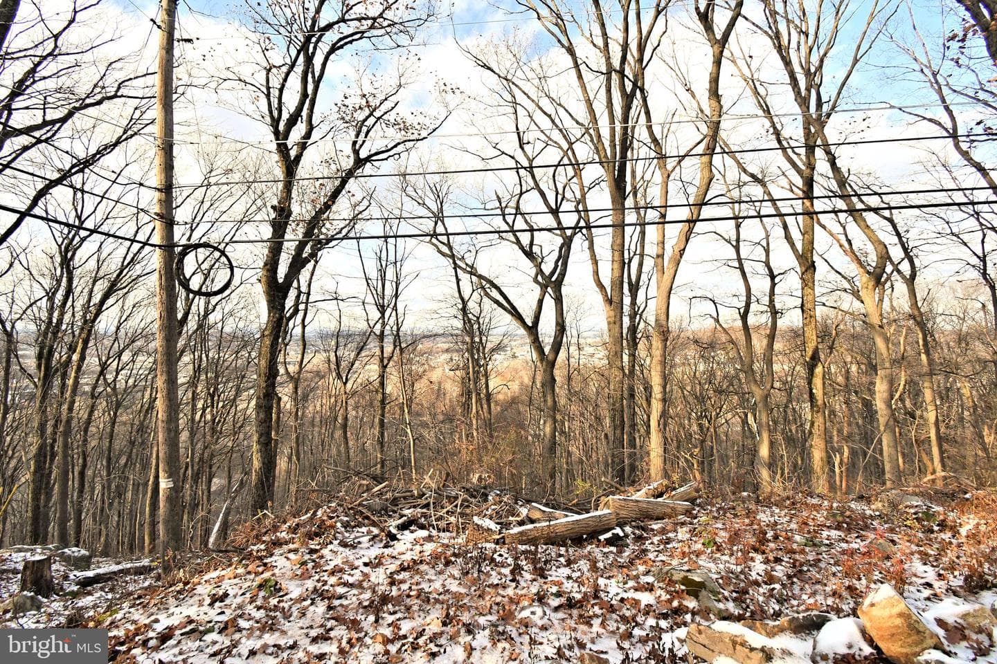501 Skyline Drive photo 63