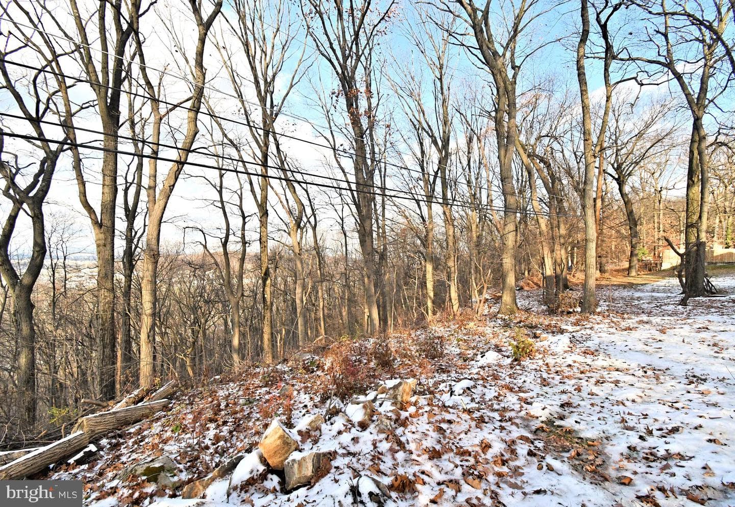 501 Skyline Drive photo 64