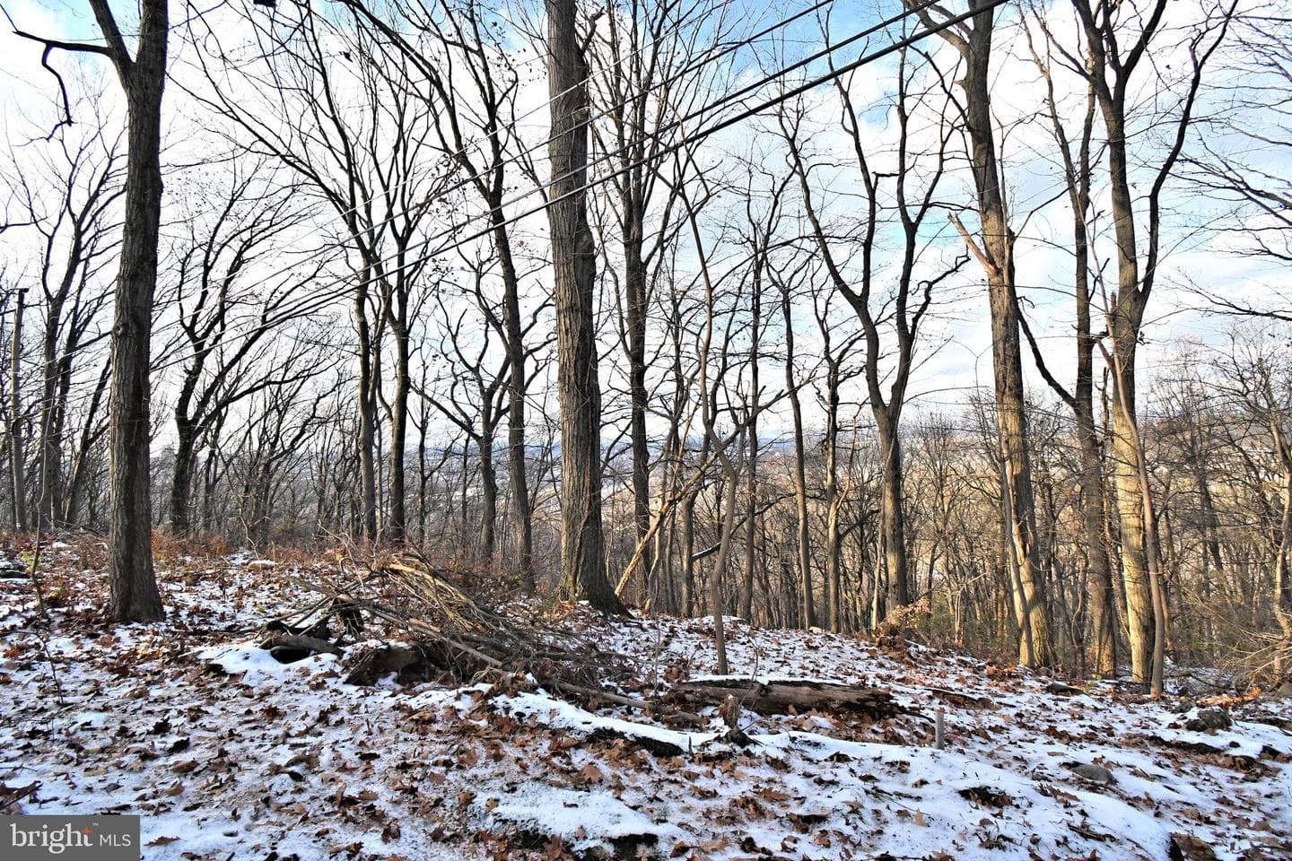 501 Skyline Drive photo 65