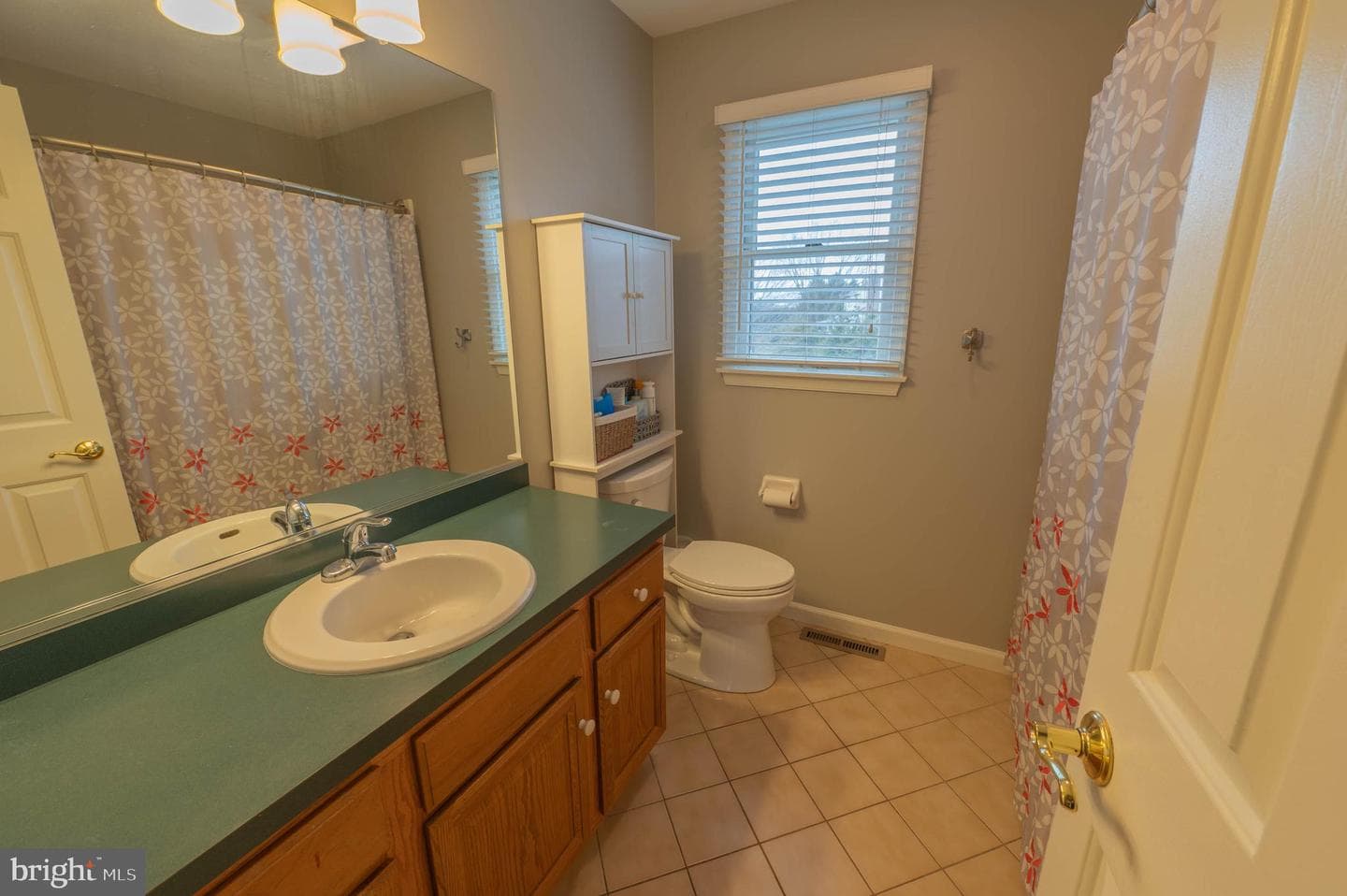 7264 Snowberry Court photo 25