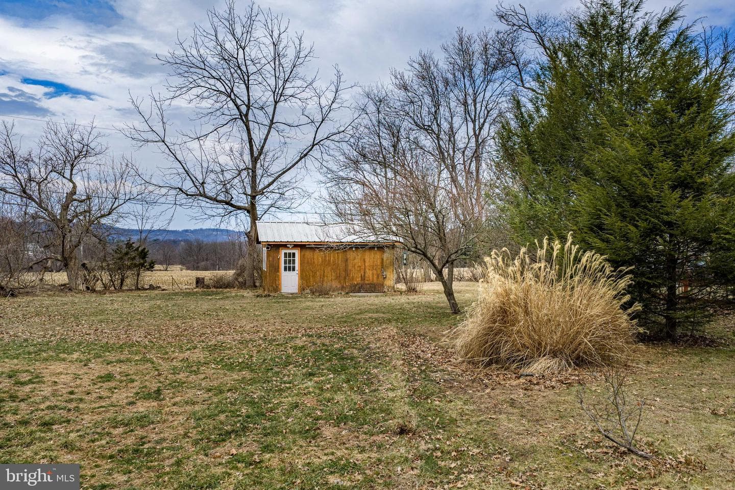 6527 Walnut photo 32