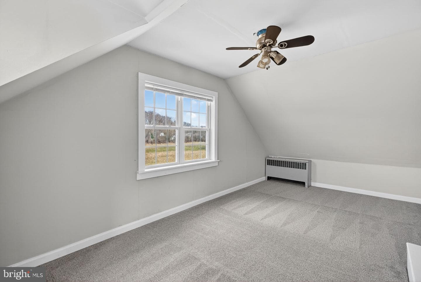 3797 Chestnut Road photo 28