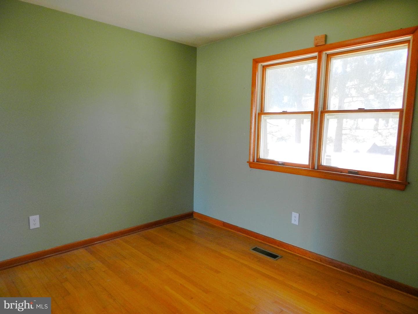1055 Pine Tree Drive photo 16
