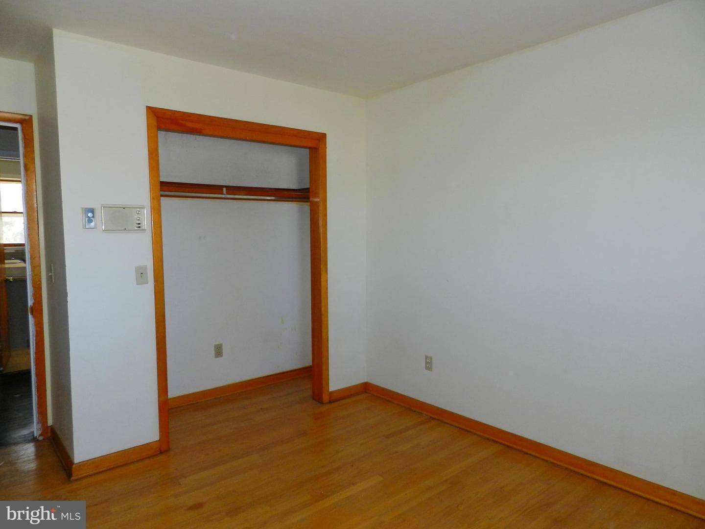 1055 Pine Tree Drive photo 18