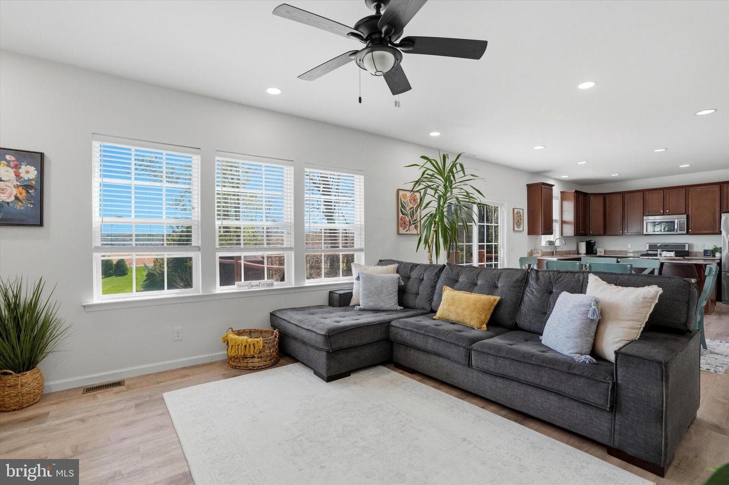 9206 Windy Bush Lane photo 4