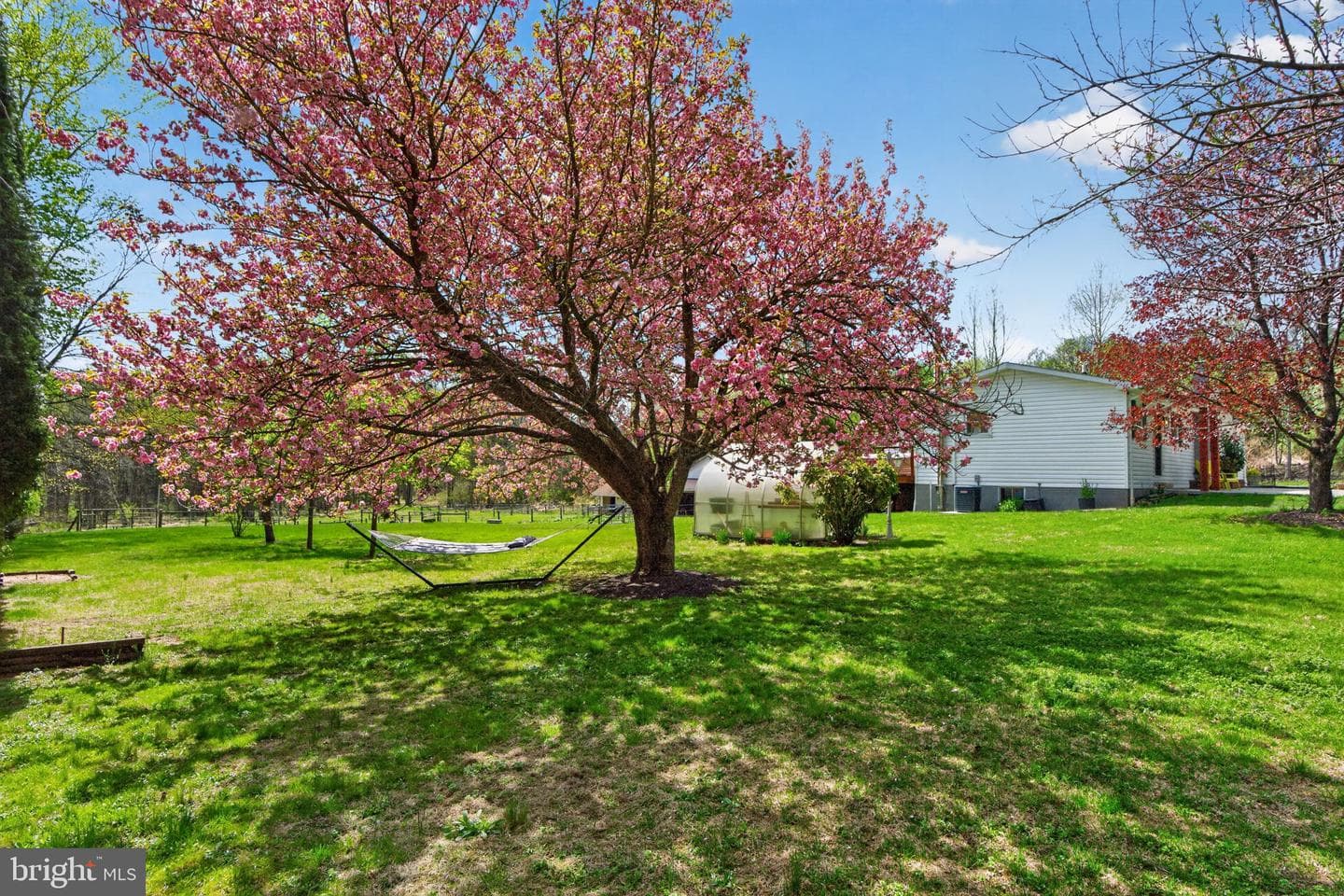 7341 Carls Hill Road photo 21
