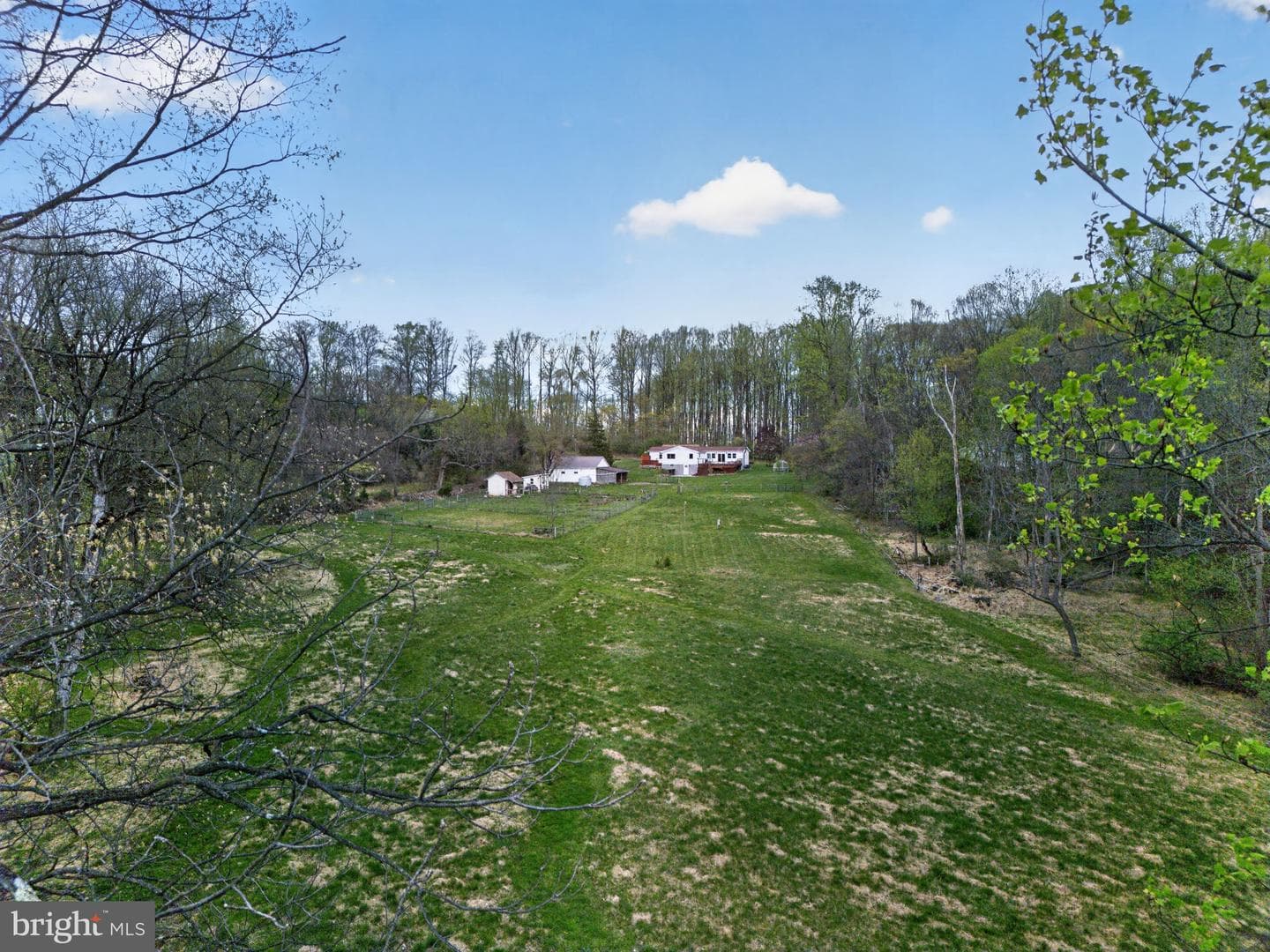 7341 Carls Hill Road photo 28