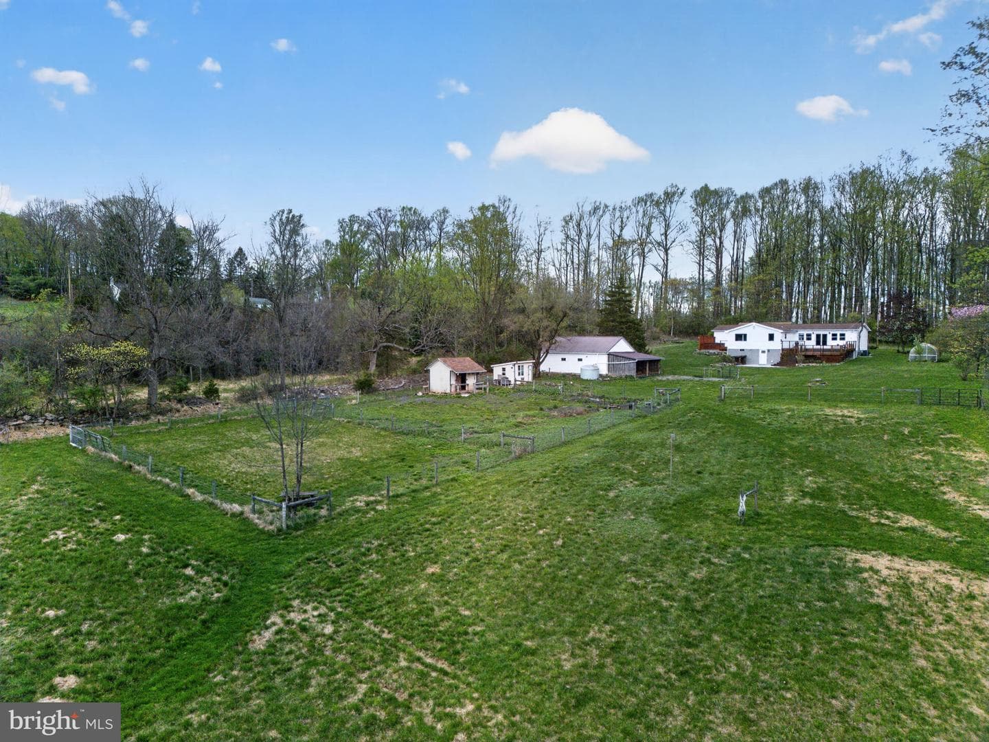 7341 Carls Hill Road photo 29