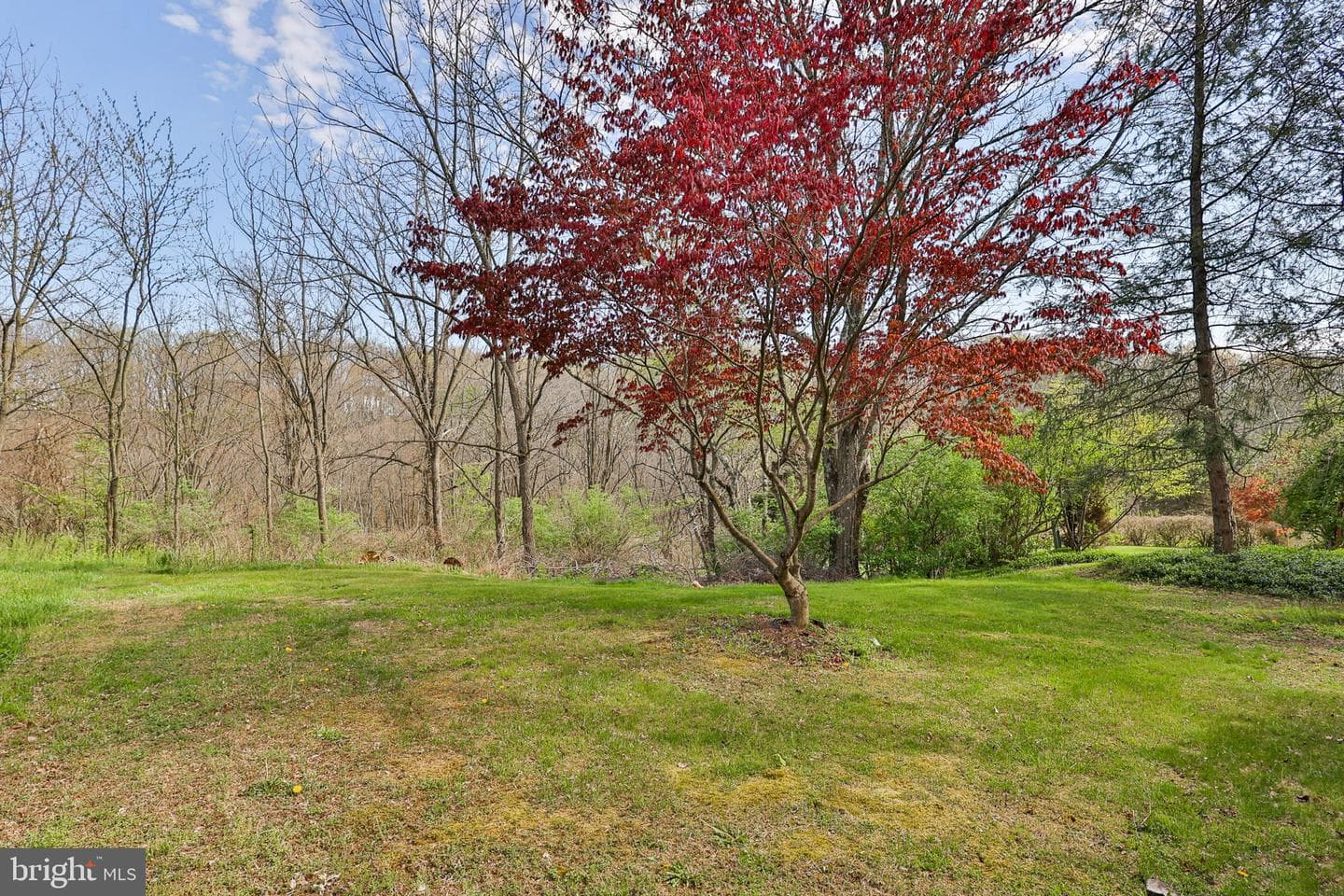 8332 Willow Run photo 41
