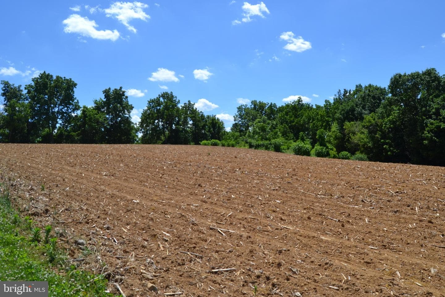1294 Trexlertown Road photo 9