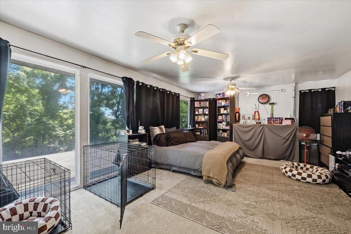 5340 2nd Street photo 10