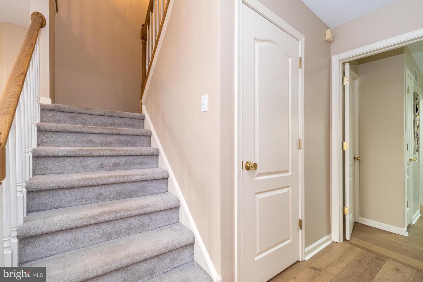 310 Oxford Place photo 26