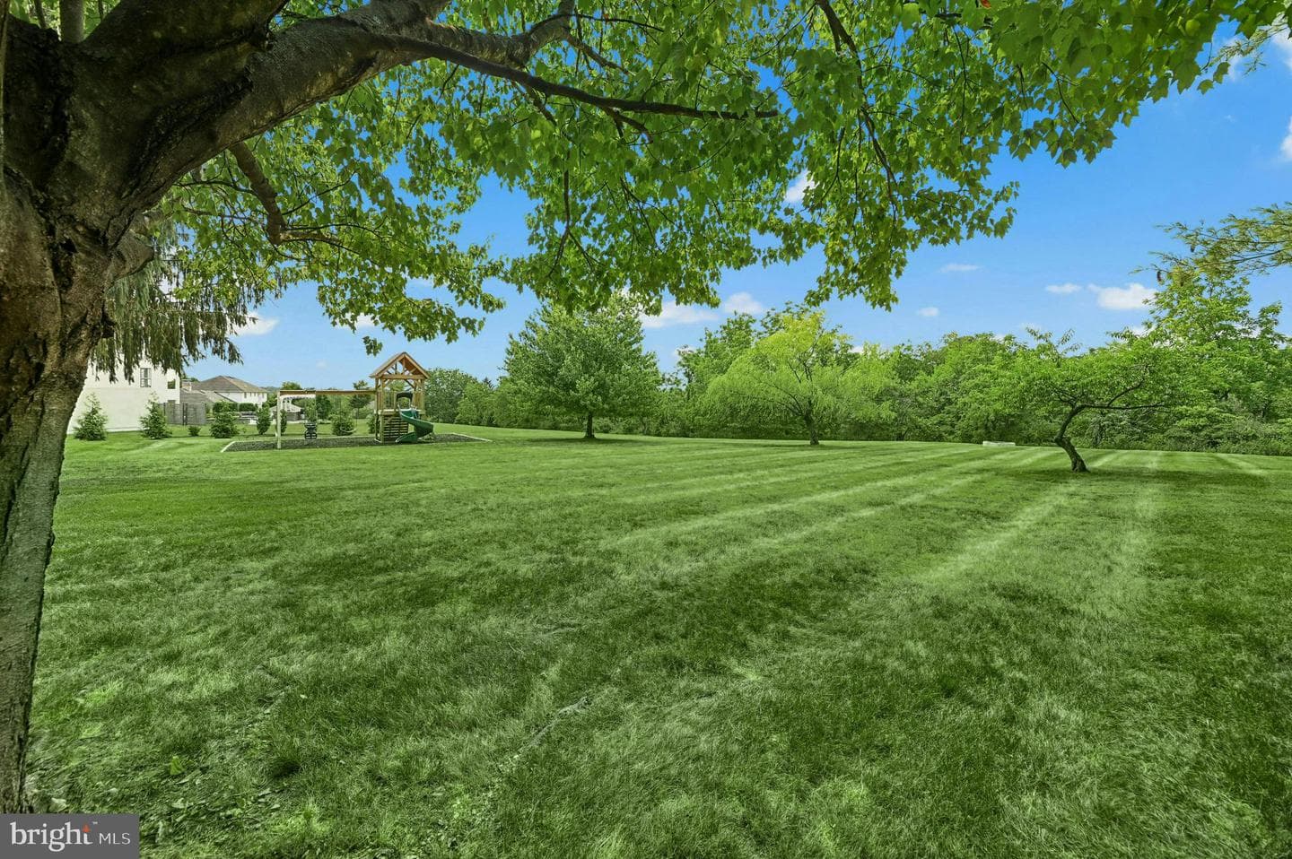 8018 Orchard View Lane photo 41